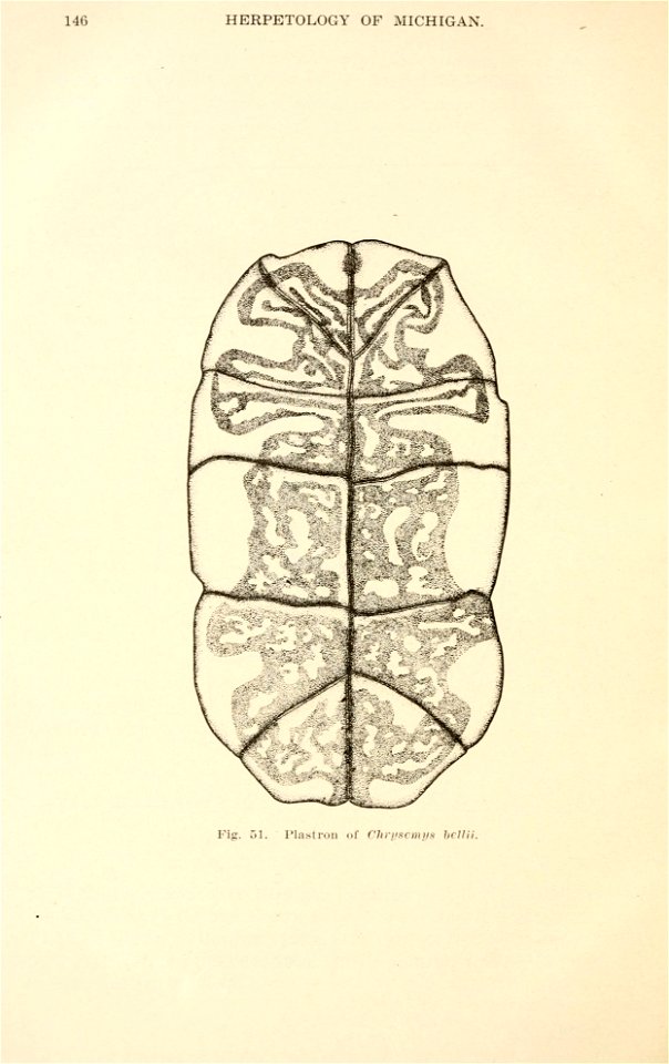 The herpetology of Michigan,