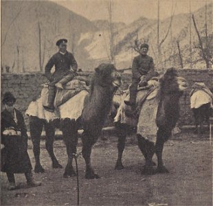 Sven Hedin on a bactrian camel with Buryat cosak and Mongolian lama during expedition in Tibet (1901). photo