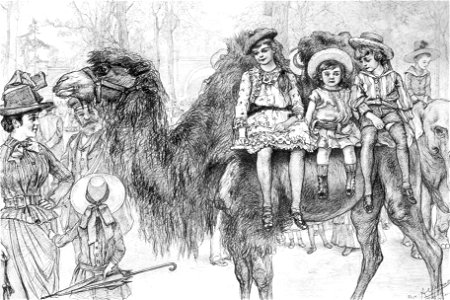 Children riding a camel in the zoo of Berlin, Germany.
