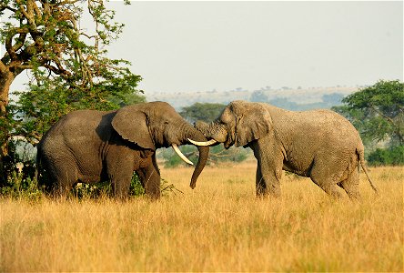 FrontLines/EGAT 2011 Environment Photo Contest Top Entry