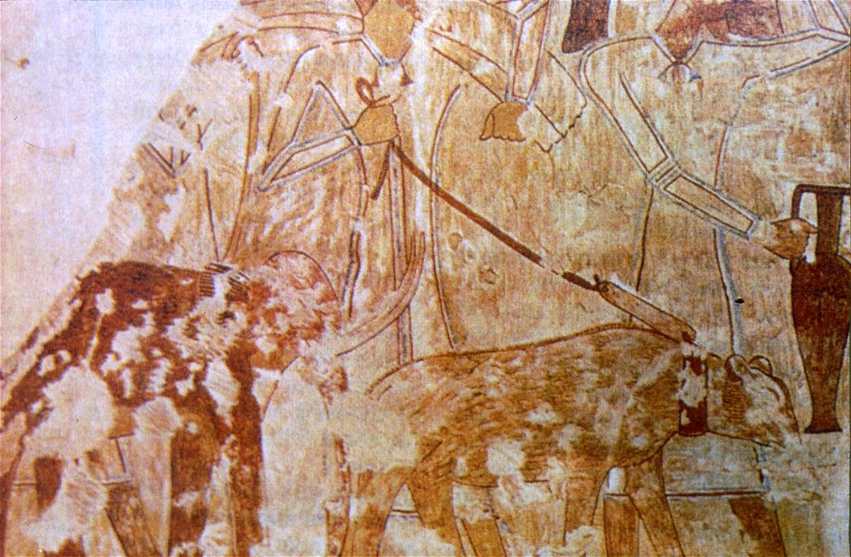 Detail of a painting in the tomb of Rekhmire in Egypt, believed by some to depict a "pygmy mammoth" (lower left) among other animals.