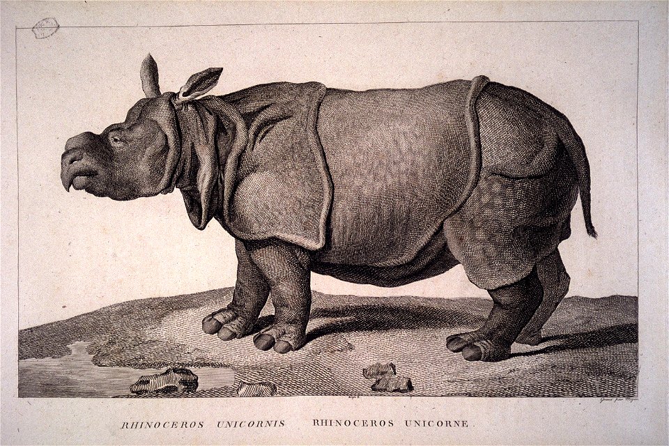 Dessin: Nicolas Maréchal
Gravure : Simon-Charles Miger (1736 – 1828)