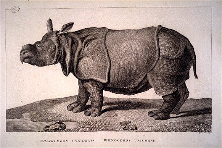 Dessin: Nicolas Maréchal
Gravure : Simon-Charles Miger (1736 – 1828)