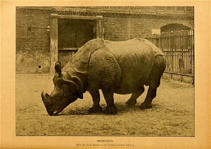 Cassell's natural history.  Ed. by P. Martin Duncan ...