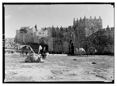 Title: Damascus Gate Abstract/medium: G. Eric and Edith Matson Photograph Collection Physical description: 1 negative : photo