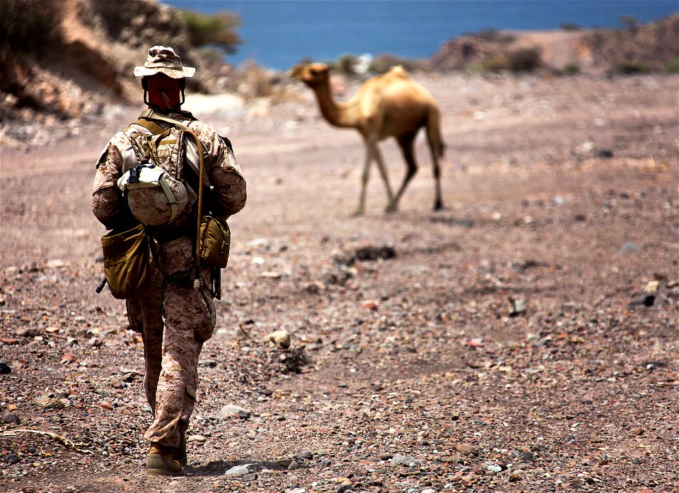1st Lt. Michael Moore, platoon commander for 1st Platoon, Bravo Company, Battalion Landing Team 1st Battalion, 2nd Marine Regiment, 24th Marine Expeditionary Unit, crosses paths with Djiboutian wildli