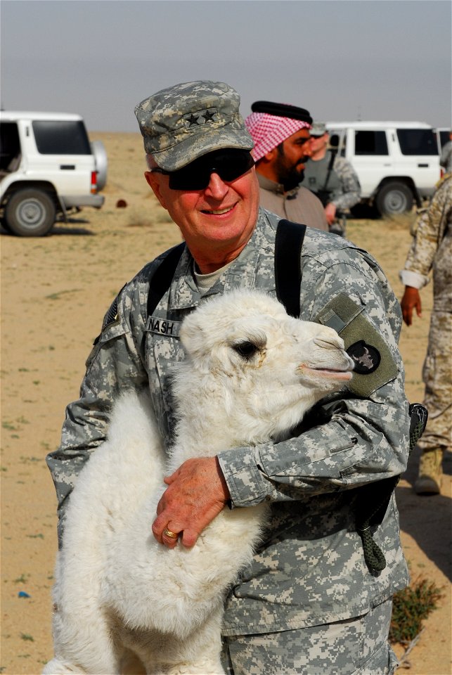 Maj. Gen. Rick Nash, U.S. Division-South commander, takes time during his visit to the Sa’adoun tribe confederation land to pet a baby camel. Nash and and Maj. Gen. Abdul Aziz Noor Swady al Dalmy, 14t