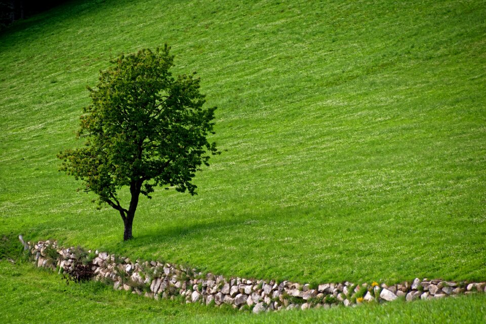 Quiet green atmosphere