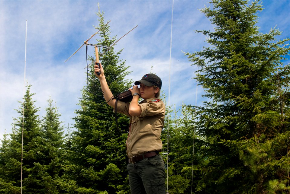 During Friday's den visit, a wildlife biologist locates a collared lynx from the bed of a truck.


Credit: James Weliver / USFWS