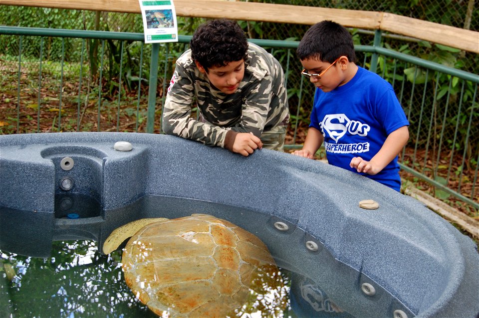 May 21, 2011, Mayaguez, Puerto Rico, By:  Lilibeth Serrano, USFWS