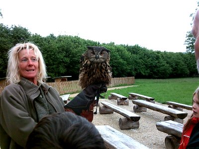 Falknerei im Wild- und Freizeitpark Bodanrück, Uhu Uschi