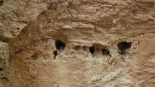 The Bokek spring and Bokek stream in the Arava desert of Israel.