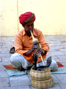 Snake charming photo