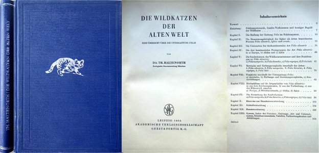 Theodor Haltenorth: Die Wildkatzen der alten Welt (1953). Buchrücken, Buchdeckel, Titelblatt und Inhaltsverzeichnis.