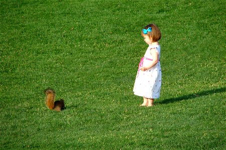 Toddler girl and squirrel in a park. Taken at the Dallas Arboretum in Dallas, Texas This is a , which means that it has been digitally altered from its original version. Modifications: Removed photo