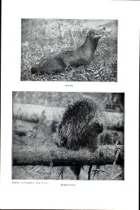 The New Student's Reference Work