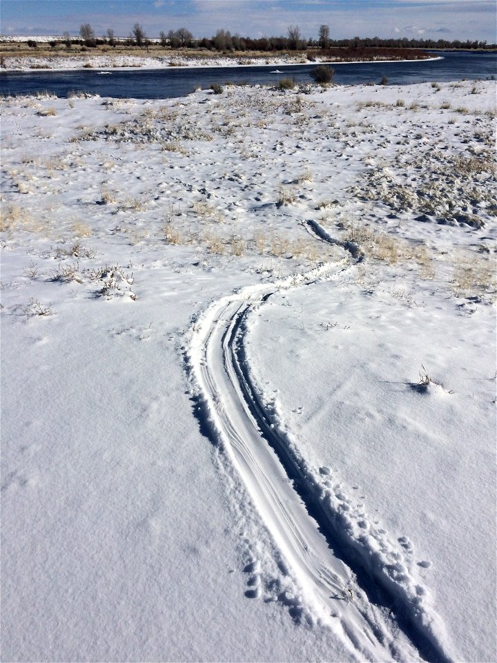 Tracks left in the snow of a Northern river otter sliding down the hill.  Photo: Tom Koerner/USFWS

<a href="https://www.facebook.com/Seedskadee/" rel="nofollow">www.facebook.com/Seedskadee/<