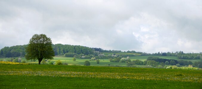 Nature countryside landscape