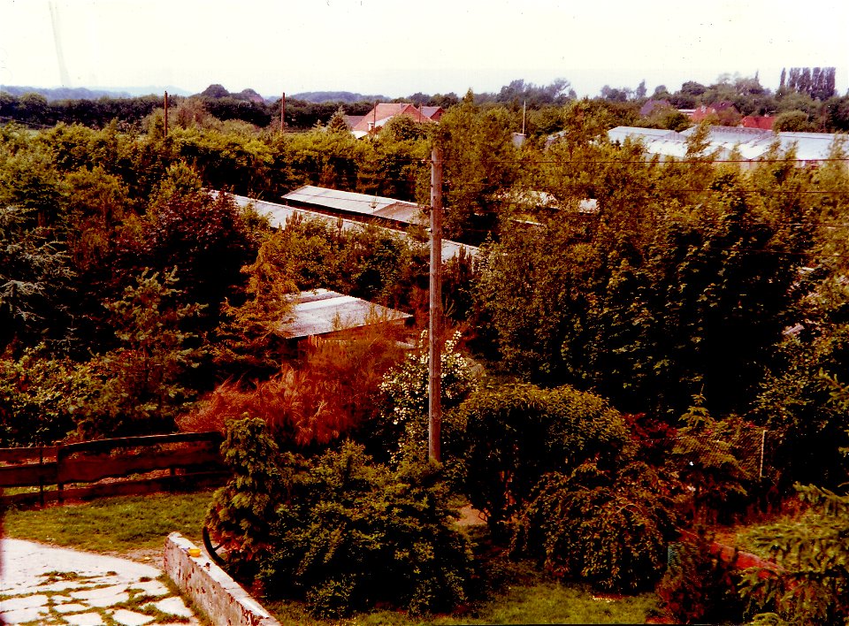 Mink farm in Germany, Rhineland