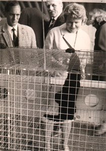 One of the photographs taken around or relating to the fur trade center Niddastrasse, Frankfurt am Main, Germany.
