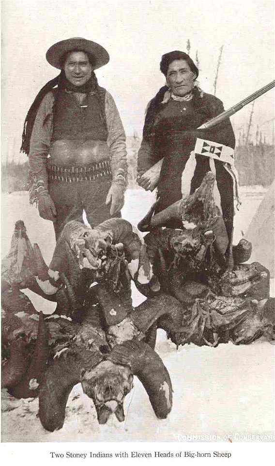 Two Stoney Indians with Eleven Heads of Big-Horn Sheep
Subject: Hunting, Assiniboine Indians, Bighorn sheep
Tag: Wildlife