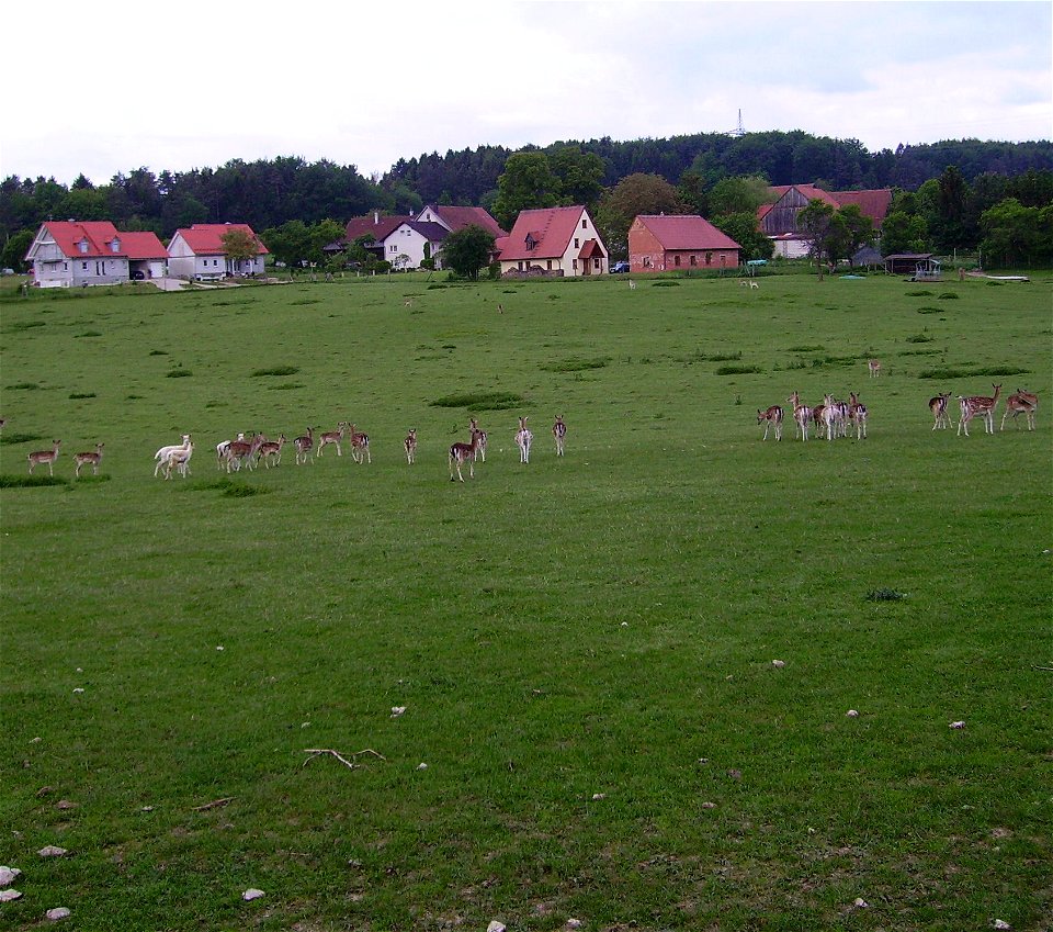 village of Marktgemeinde Heiligenstadt near Bamberg (Upper Franconia) in Germany