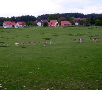 village of Marktgemeinde Heiligenstadt near Bamberg (Upper Franconia) in Germany photo