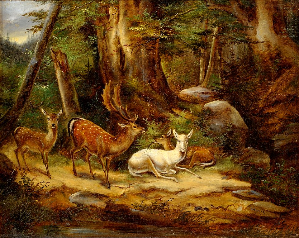 Edelwild. Signiert. Rückseite betitelt. Öl auf Leinwand. 24 x 30 cm.