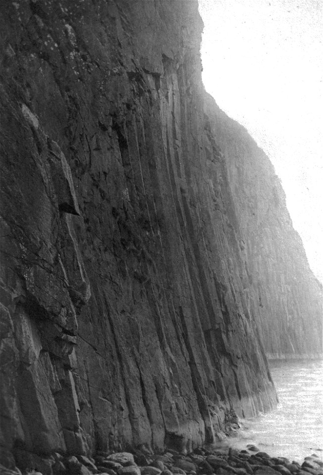 The Eyrie of a White-tailed Sea Eagle on the Shiant Islands (Scotland) in 1888.
