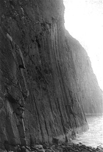 The Eyrie of a White-tailed Sea Eagle on the Shiant Islands (Scotland) in 1888. photo