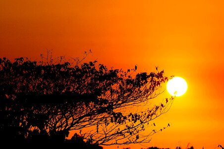 Beautiful sunset landscape sun photo