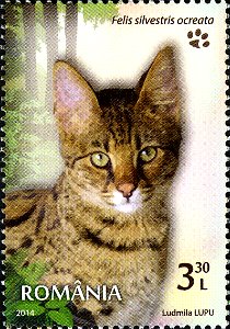 Stamps of Romania, 2014