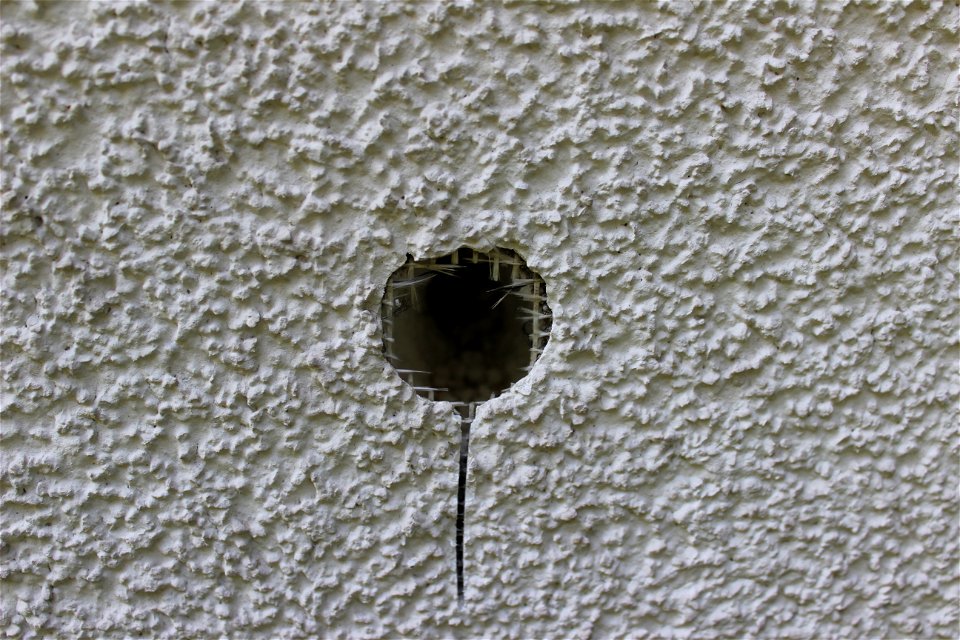 Angefangene Bruthöhle eines Buntspechtes in Styroporfassadendämmung