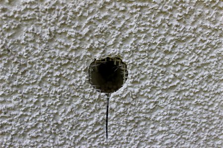 Angefangene Bruthöhle eines Buntspechtes in Styroporfassadendämmung