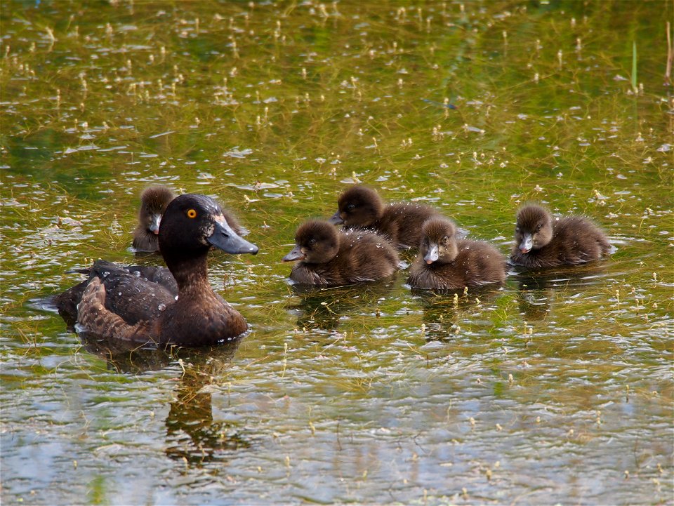 Photographed at Schiphol, The Netherlands.