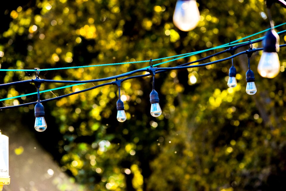Leaves outside summer