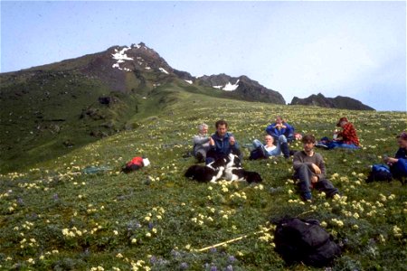 Image title: Aleutian cackling goose survey crew Image from Public domain images website, http://www.public-domain-image.com/full-image/events-happenings-public-domain-images-pictures/aleutian-cacklin photo