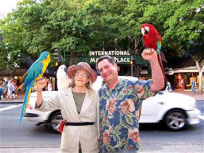 Sal and Sharon Maccarone with parrots outside International Market Place, Kalakaua Avenue, Honolulu, Hawaii, USA. There is a Blue-and-yellow Macaw (Ara ararauna) on the left, a Red-and-green Macaw (Ar photo