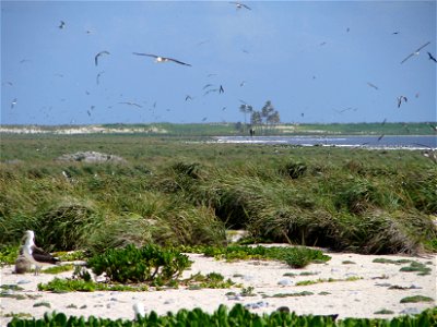 Photo: Cindy Rehkemper/USFWS photo