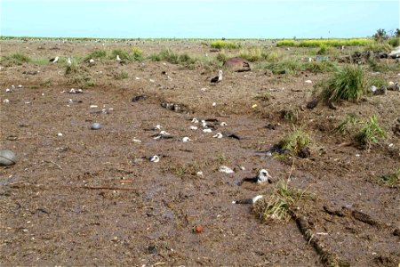 Image title: Over washed monument seep on Eastern island Image from Public domain images website, http://www.public-domain-image.com/full-image/nature-landscapes-public-domain-images-pictures/earth-gr photo