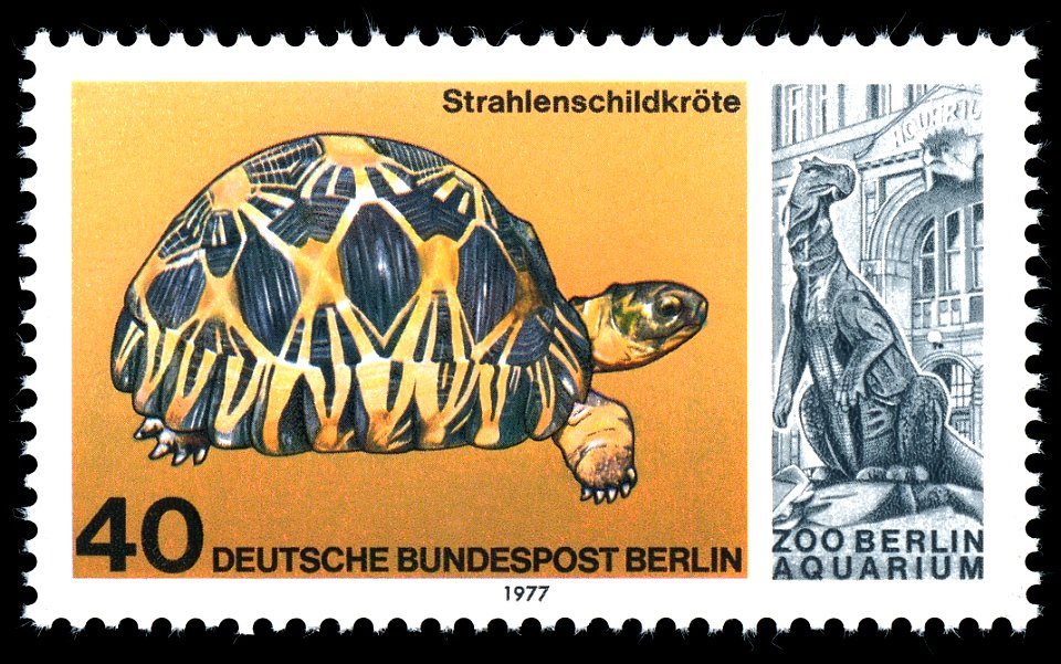 Stamps of Germany (Berlin) 1977, MiNr 554