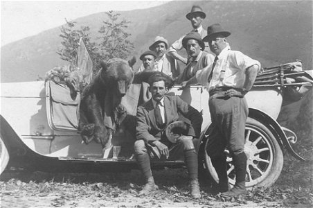 El marqués de Viana junto a un oso y un lobo Ibérico abatidos en Picos de Europa. El rey Alfonso XIII también acudió a la montería.