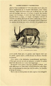 Bulletin de la Société nationale d'acclimatation de France.