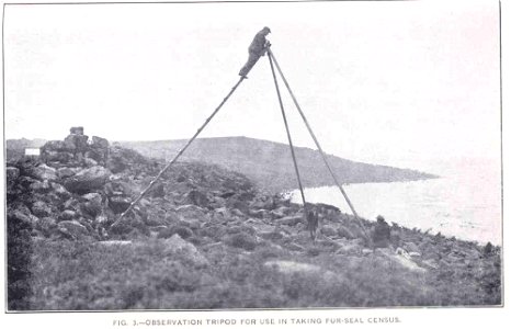 Observation Tripod for Use in Taking Fur-Seal Census
Subject: Northern fur seals, Animals--Counting
Tag: Aquatic Mammals