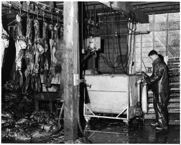 Sealing Activities