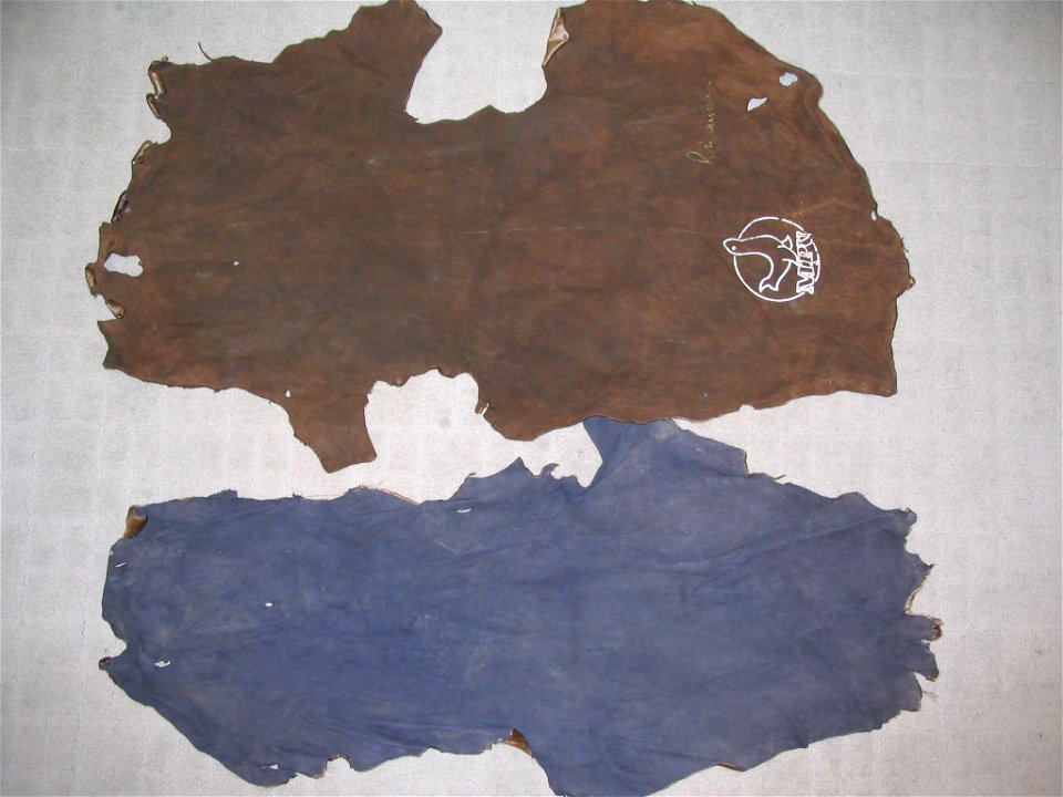 2 South African sea lyon fur skins, leather side (Otaria flavescens (byronia)), infant fur, probably dyed.