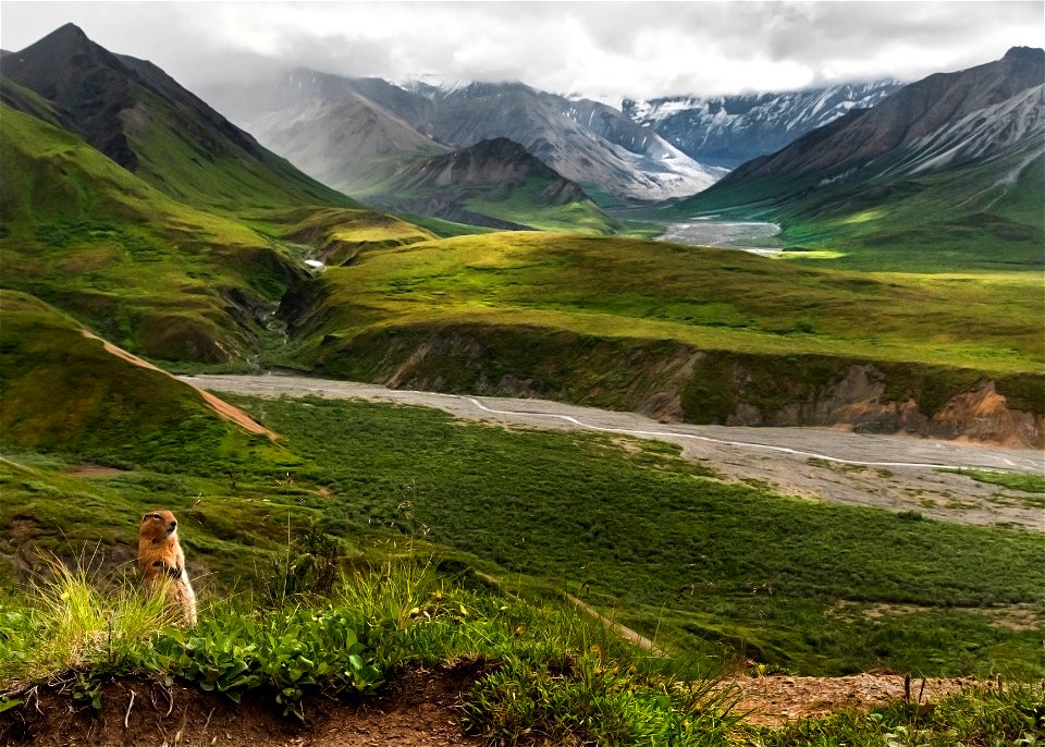 (NPS Photo/ Tim Rains)