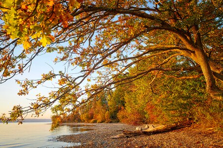 Starnberger see water evening