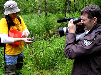 Mike Hobbs, Public Affairs Specialist for the U.S. Fish and Wildlife Service, films the release of captively grown bog turtles in Northeast Georgia, in 2005