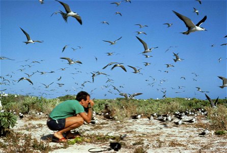 Image title: Photographers in a flock of birds
Image from Public domain images website, http://www.public-domain-image.com/full-image/people-public-domain-images-pictures/male-men-public-domain-images
